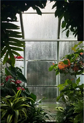 YongFoto Fondo de flores de invernadero de 5 x 7 pies, flores de cristal de primavera, plantas verdes, fondo de fotografía de jardín interior,