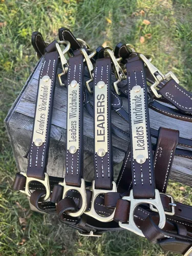 Miniatura 8 de Leaders - Cabestro de cuero para caballos con placa de nombre grabada personalizada para caballo