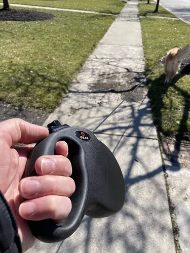 Miniatura 5 de Enthusiast Gear Correa retráctil para perros grandes y medianos con mosquetón de bloqueo Correa de poliéster reflectante fuerte de 16 pies, 1