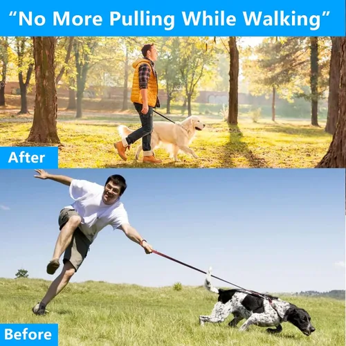 Miniatura 2 de Collar de entrenamiento para perros, collar de martingala para perros grandes, medianos y pequeños
