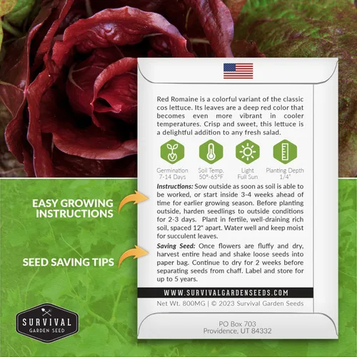 Miniatura 2 de Semilla de lechuga romana roja para plantar, 1 paquete con instrucciones para plantar y cultivar lechuga de hoja roja en tu huerto, variedad