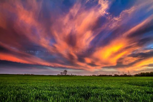Country Photography Print (Not Framed) Picture of Copper Colored Clouds Over Field at Sunset in Oklahoma Great Plains Wall Art Nature Decor (11" x
