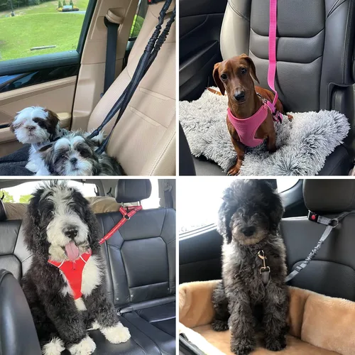 Miniatura 7 de BWOGUE Arnés de cinturón de seguridad para mascotas, cinturón de seguridad ajustable para reposacabezas de coche, arnés de cinturón de seguridad