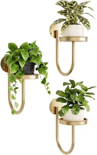 Miniatura 12 de Bamworld Macetas colgantes para plantas de interior, soporte para plantas de pared, colgador de plantas, macetas de pared para interiores, estantes
