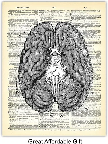 Miniatura 6 de Corazón, pulmones, cerebro, órganos de anatomía intestinal – Diccionario reciclado, impresiones artísticas de pared para clínica médica, oficina