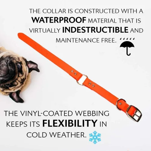 Miniatura 8 de Regal Dog Products Collar de Perro Naranja Mediano con Placa de Nombre Grabada Personalizada - Ajuste Personalizado, Resistente, Fácil de Limpiar