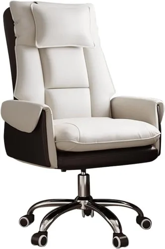 High Back Computer Gaming Chair with Footrest Lumbar Backrest Design Executive Swivel Office Desk Chairs for Conference Room Living Bedroom