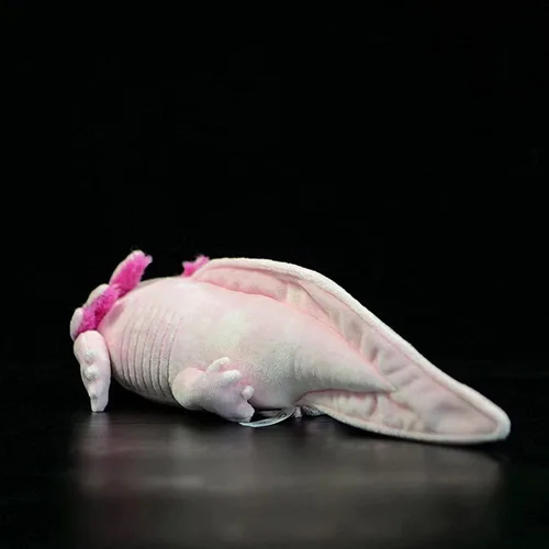 Miniatura 3 de Tiny Heart Peluche de Axolotl, animal de peluche, bonito juguete de peluche realista con ambistoma, regalos para niños, 18 pulgadas de largo