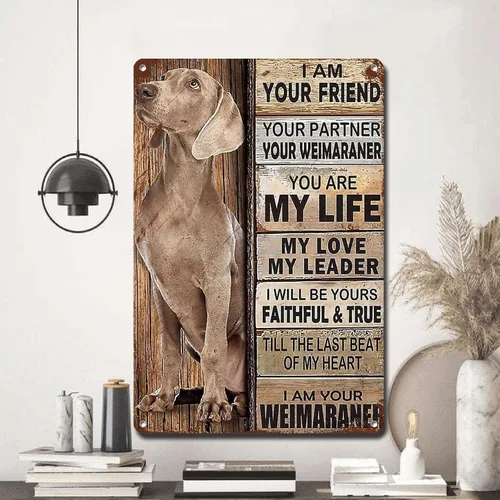 Miniatura 5 de Letrero de metal con texto en inglés "I Am Your Friend", regalo para los amantes de Weimaraner, arte de pared vintage, letreros de barra