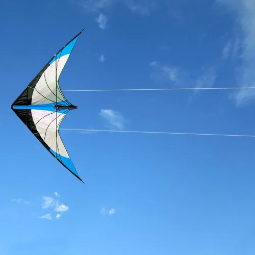 Miniatura 5 de HENGDA KITE - Cometa de rima estelar mejorada de 48 pulgadas, cometa de acrobacias de doble línea para niños y adultos, deportes al aire libre
