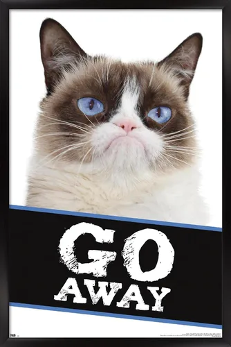 Miniatura 8 de Trends International Grumpy Cat - Póster de pared con texto en inglés «Go Away», 14.725 x 22.375 pulgadas, versión enmarcada de madera de granero