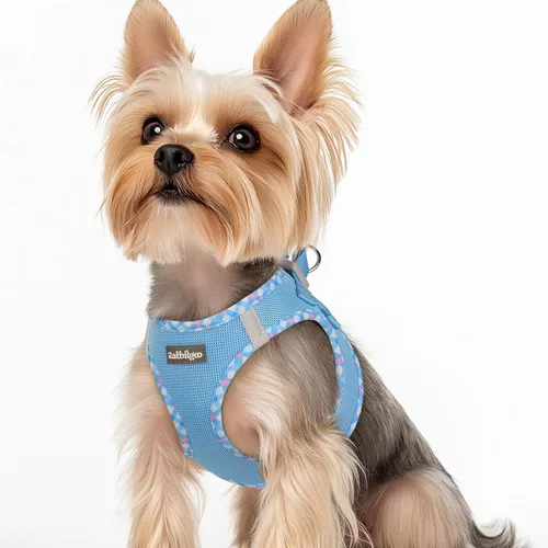 Miniatura 105 de rabbitgoo Arnés para perro pequeño, chaleco de malla suave para cachorros con hebilla de seguridad, arnés reflectante transpirable para mascotas
