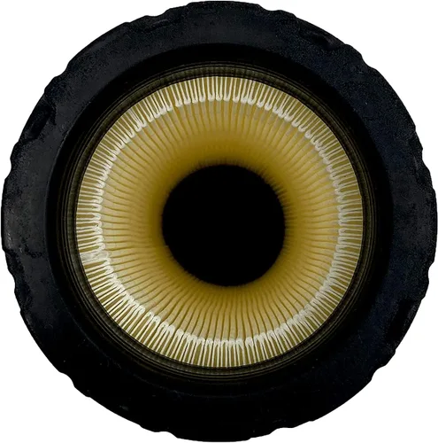 Miniatura 5 de TORQUE 30-00426-27 Transportador de filtro de aire Transicold Reefer Thermo King Cortacésped Tractores Bobcat Cargadoras Reemplaza AF26168 300042627