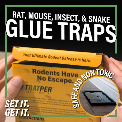 Miniatura 5 de TRATPER Trampas de pegamento para ratones, ratas, serpientes, lagartos, insectos. 6 unidades. Fuerza extra, adhesivo pre-atraído. Bandeja