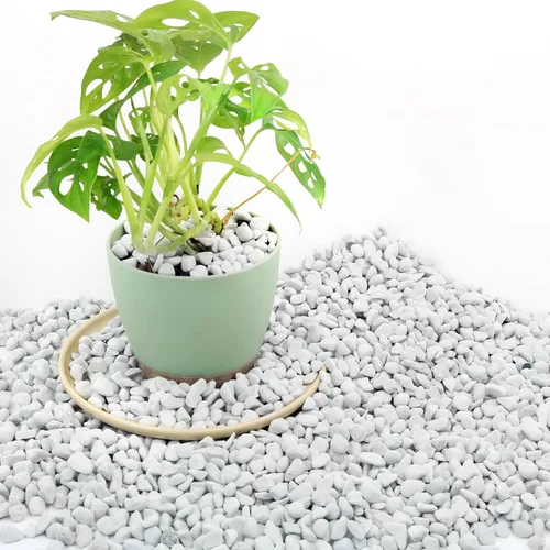 Perlita gruesa de 3 cuartos de galón para enmienda del suelo de plantas para macetas, mejora el drenaje y la aireación del suelo, ideal para