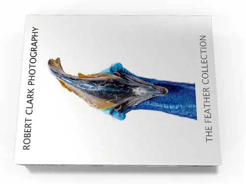 Miniatura 4 de MyPuzzle Cassowary - Rompecabezas prémium de 100 piezas, fabricado en Estados Unidos