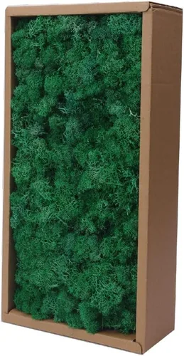 Miniatura 12 de Musgo preservado, musgo de 3.5 onzas para manualidades, decoración de musgo sintético, musgo verde natural para decoración de pared de floristería