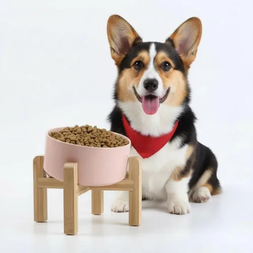 Miniatura 21 de Petygooing Cuenco Elevado/Alzado de Cerámica Inclinado 15° para Perros de Razas Pequeñas y Medianas, Cuenco Inclinado Antideslizante para Verde óxido