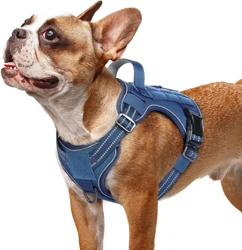 Miniatura 51 de rabbitgoo - Arnés para perros pequeño sin tirones, chaleco táctico de servicio con Molle y asa de control, arnés militar ajustable y reflectante
