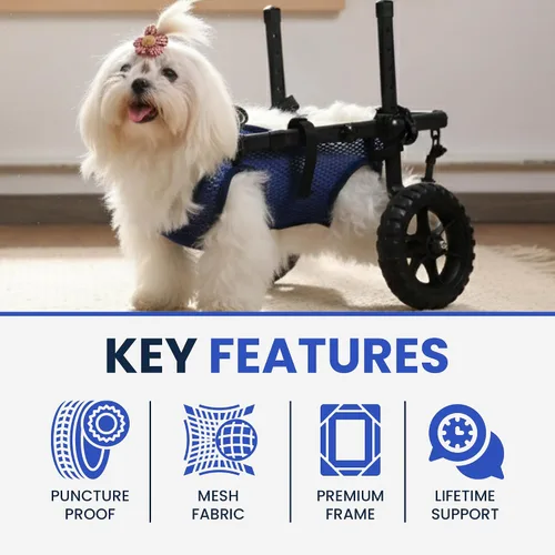 Miniatura 5 de Silla de ruedas para perros para patas traseras, carrito de silla de ruedas para perros, sillas de ruedas para perrito/gato con patas traseras