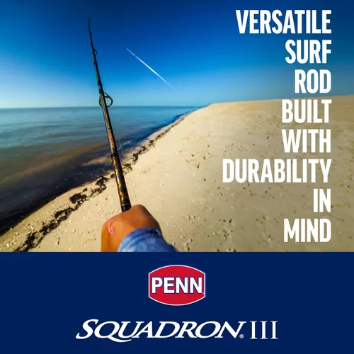 Miniatura 2 de Penn Escuadrón IV Surf Spinning Rod