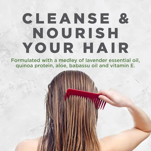 Miniatura 6 de Champú revitalizante de lavanda Avalon Organics, para cabello suave, brillante y agradable al tacto para cabello normal a seco, 11 onzas fluidas