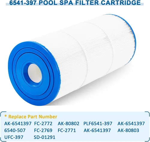 Miniatura 5 de 6541-397 Filtro de spa para piscina compatible con filtro Sundance 880 2009-2023 (exterior 6473-165 e interior 6473-164), repuesto para filtro