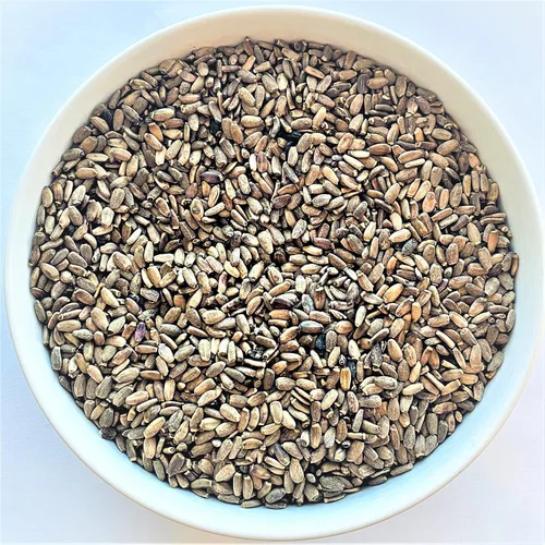 Miniatura 2 de Semilla de cardo mariano crudo silvestre de 8 oz Silybum Marianum The Bloomin Herb Shoppe