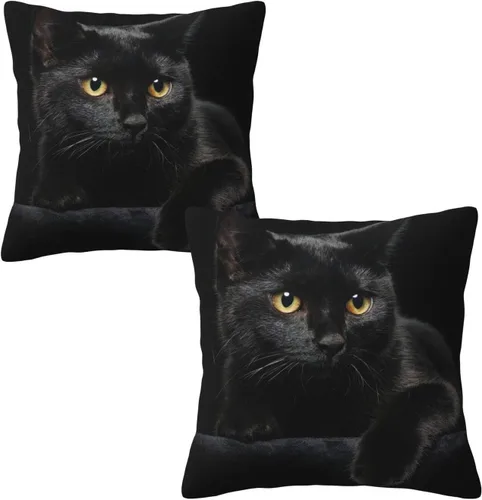 Juego de 2 fundas de almohada decorativas de lino con diseño de gato negro, fundas cuadradas para sofá, dormitorio, patio, 18 x 18 pulgadas