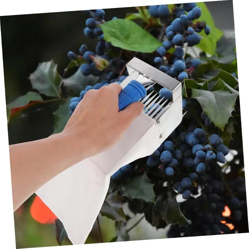 Miniatura 4 de Ipetboom Blueberry Tools Dibbler Berries Tool Rastrillo de hojas Frutas Recogedor de bayas y Rastrillo Suministros Recogedor de Fresas Mango Poste
