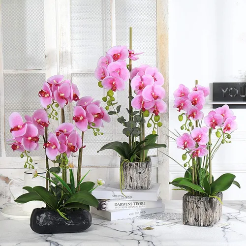 Miniatura 6 de FagusHome 10 hojas de orquídeas artificiales Phalaenopsis de 11 pulgadas, hojas de orquídeas artificiales verdes (10 unidades)