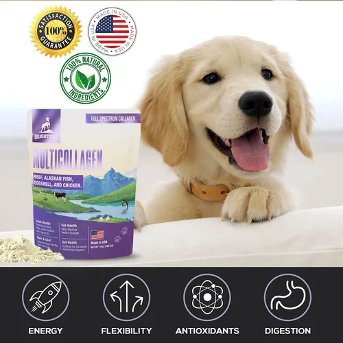 Miniatura 5 de Péptido multicolágeno colágeno líquido diario para perros, colágeno de perro, membrana en polvo de cáscara de huevo para perros - artritis, salud