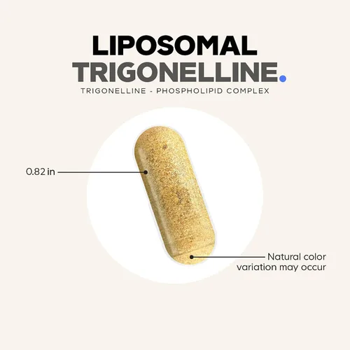 Miniatura 8 de Codeage Trigonelina liposomal - 250 mg por cápsula - Suministro de 3 meses - Alcaloide a base de plantas - Entrega liposomal para biodisponibilidad