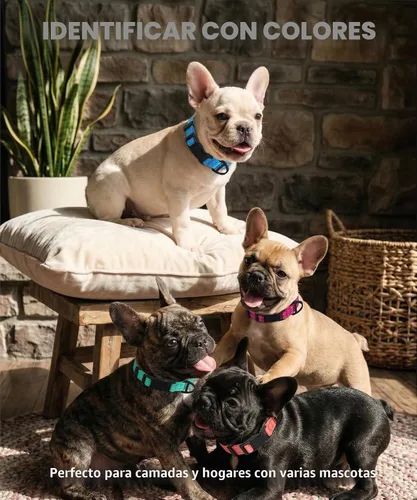 Miniatura 6 de TagME Collares de nailon reflectantes para perros, collar ajustable clásico para mascotas con hebilla de liberación rápida para cachorros, rosa Rosa