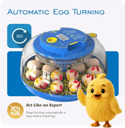 Miniatura 8 de OtterVerz 11 Incubadoras de huevos para incubar 18-36 huevos de pollo, codorniz/pavo, incubadora de aves de corral con visión de 360° con giro