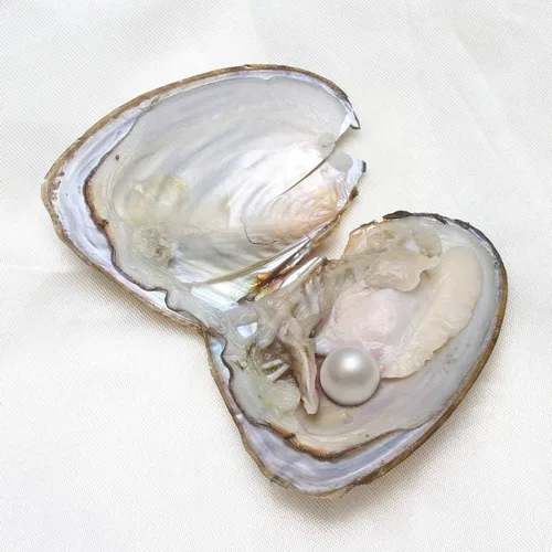 Miniatura 4 de XUDREZ Perlas de ostra natural, 50 unidades/lote, ostras monstruosas con perlas en el interior, a granel real en ostras, perlas ovaladas de agua