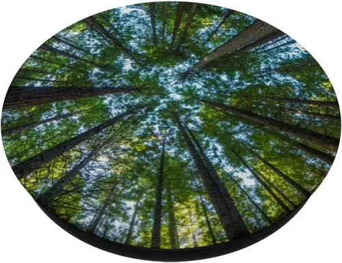 Miniatura 2 de Nature Giant Redwood Trees PopSockets - Agarre y soporte para teléfonos y tabletas, Negro