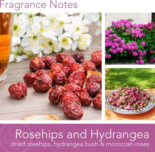 Miniatura 2 de Vela Colonial de frasco con aroma a rosa mosqueta y hortensia Vela de 2 mechas de cera de soja natural para el hogar Vela relajante de 7-Gris