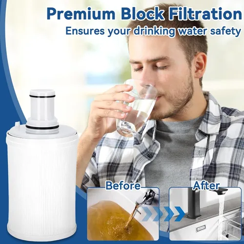 Miniatura 4 de 100186 Cartucho de filtro de repuesto compatible con el sistema de filtro de agua Amway Espring, filtración de alta precisión, salida rica