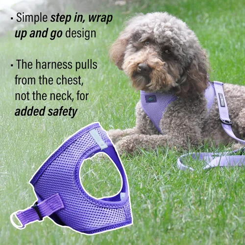 Miniatura 4 de Doggie Design Arnés para perro – Arnés sin estrangulamiento para mascotas, chaleco para perro, malla de poliéster, diseño simple, chaleco