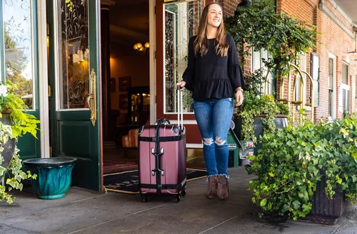 Miniatura 8 de VinGardeValise - Hasta 12 botellas y maleta de viaje multiusos para vino (borgoña)