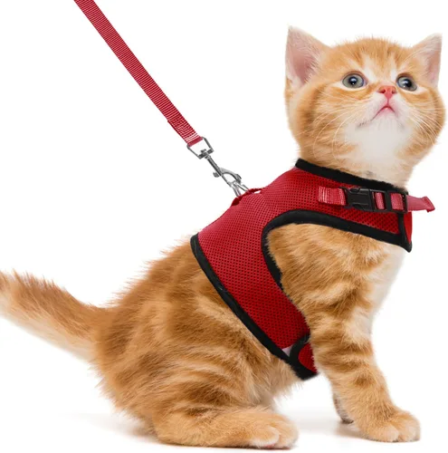 Miniatura 13 de PUPTECK Juego de arnés y correa de malla suave para gatos, arnés acolchado para mascotas, a prueba de escape, para gatos, perros pequeños, conejos