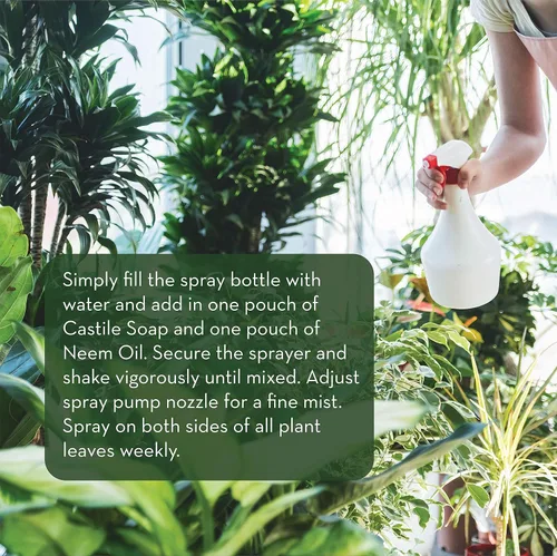 Miniatura 5 de Emily's Naturals - Kit de recambio de aerosol para plantas de aceite de neem, hace 48 onzas, botella de spray no incluida