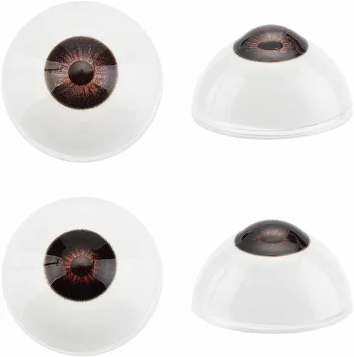 PH PandaHall 2 pares de ojos realistas grandes ojos humanos, ojos grandes de acrílico para decoración de fiesta de Halloween, esculturas y accesorios