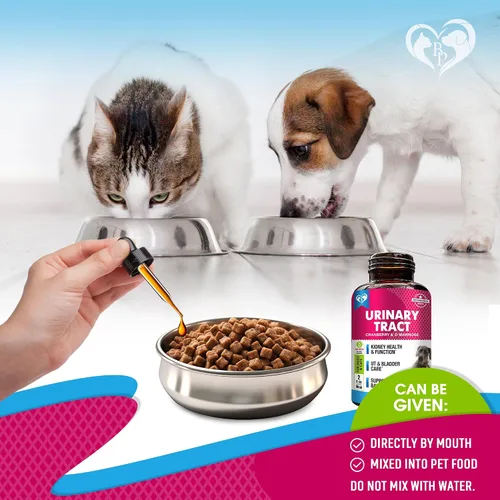 Miniatura 5 de Tratamiento de Infección del Tracto Urinario para Gatos y Perros y Medicina Natural para UTI con Arándano y D-Manosa - Soporte para Riñón + Vejiga