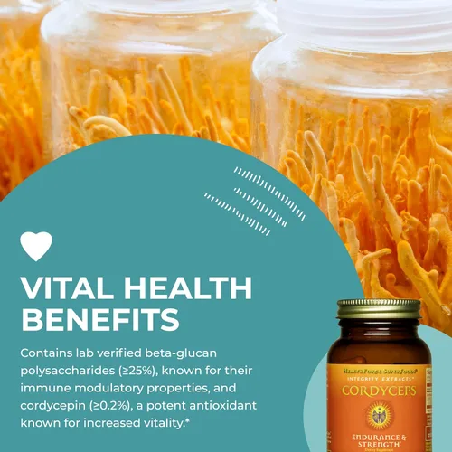 Miniatura 5 de HEALTHFORCE SUPERFOODS Integrity Extracts Cordyceps - Cápsulas - 90 Cápsulas Veganas