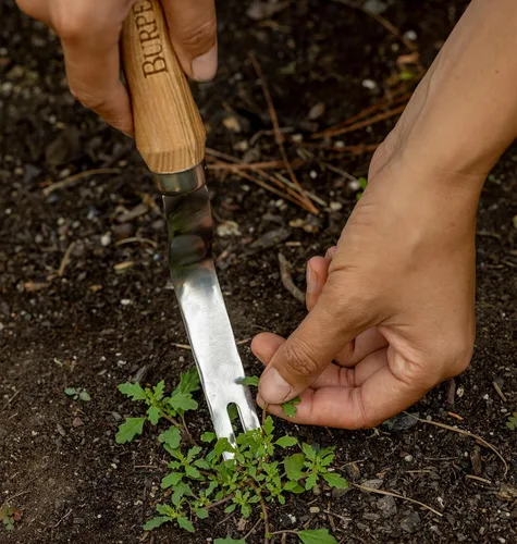 Miniatura 2 de Burpee Escardadora de acero inoxidable de 12 pulgadas Herramienta de jardín duradera de larga duración Correa de muñeca de cuero con mango de 5
