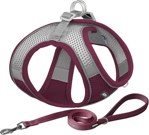 Miniatura 20 de AIITLE - Juego de arnés y correa para perro sin tirones, arnés ajustable para perros con chaleco acolchado para todo clima, correa para perros