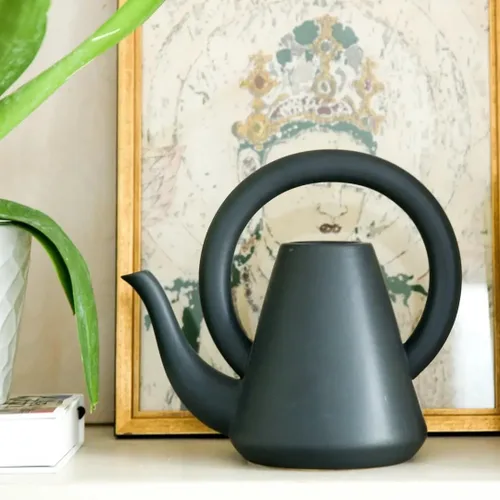 Miniatura 4 de Flora Bunda Regadera de cerámica negra mate de 10 pulgadas para decoración interior casera