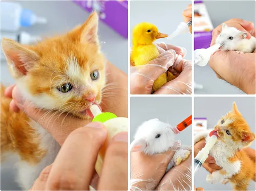 Miniatura 7 de Biberones de alimentación para cachorros y gatitos para lactancia, recién nacidos, perros, gatos, conejos, con kit de alimentador de pezones